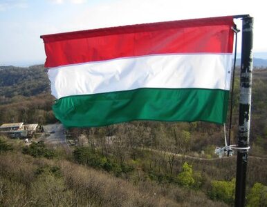 Miniatura: Węgry: europoseł zostanie prezydentem?