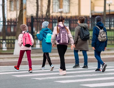 Miniatura: Jest rozporządzenie ws. nauki zdalnej w...