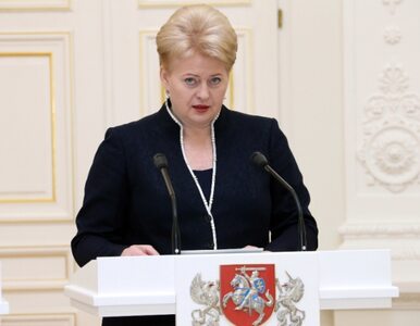 Miniatura: Litwa ma rząd i... go nie ma