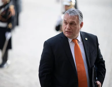 Miniatura: Viktor Orban rozmawiał z Władimirem...