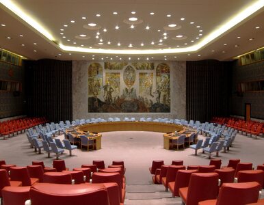 Miniatura: RB ONZ potępia zachowanie Kim Dzong Una....