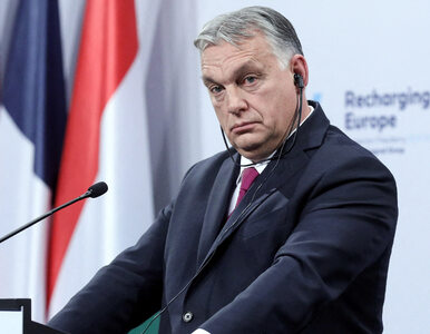 Miniatura: Orban wyśmiał Zełenskiego. „Opiera się na...