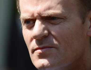 Miniatura: Tusk o Euro: mistrzem będzie Polska albo...