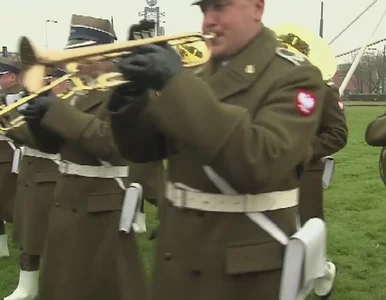 Miniatura: Maszt Wolności stanął na rondzie Radosława