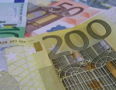 Miniatura: "Euro zamiast złotówki? Rząd nie będzie...