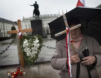 Miniatura: Krzyż, brzoza i kamień - w Pałacu...