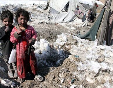 Miniatura: NATO zabiło ośmioro afgańskich dzieci