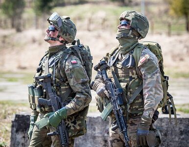 Miniatura: Polskie siły zbrojne ruszą na misję?...