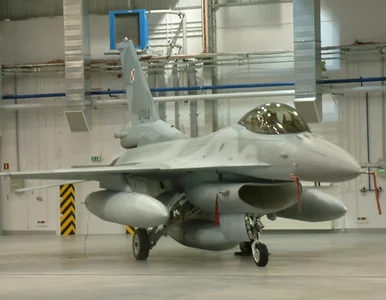 Miniatura: F-16 nad Lublinem. MON uspokaja