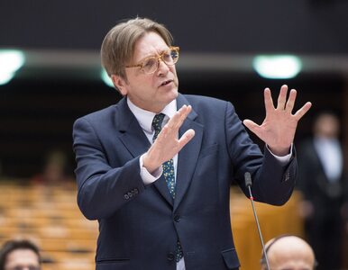 Miniatura: Verhofstadt mocno o sankcjach, uderzył w...