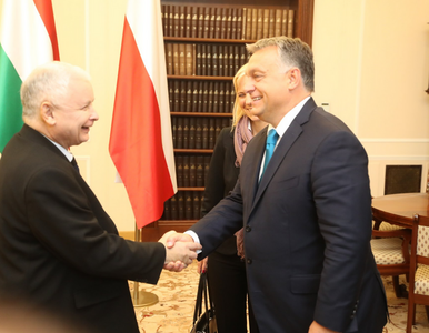 Miniatura: Orban spotkał się z Kaczyńskim. „Podobna...