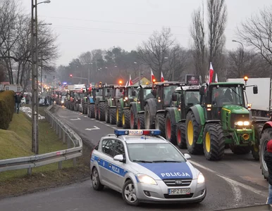 Miniatura: Rolnicy rozstawiają miasteczko namiotowe...