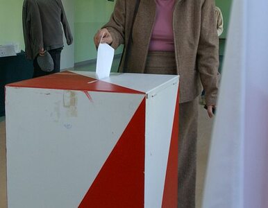 Miniatura: PiS chce przezroczystych urn wyborczych