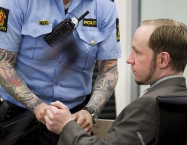 Miniatura: Breivik usłyszy wyrok w rocznicę swojej...