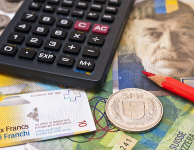 Miniatura: Petru i Balcerowicz o ustawie frankowej:...