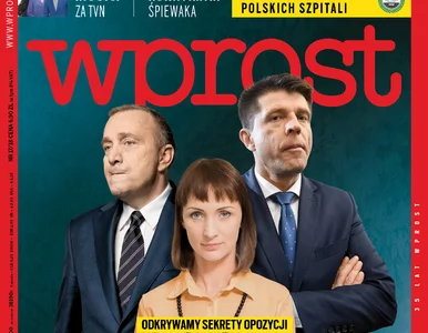 Miniatura: Sekrety opozycji, nowy projekt polityczny...