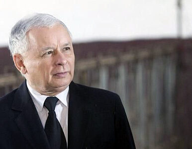 Miniatura: Kaczyński nie przeczyta ACTA. "Prezes ma...