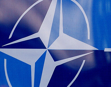 Miniatura: Sekretarz Generalny NATO leci do Seulu