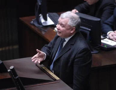 Miniatura: PO: Kaczyński i ziobryści żyją w czasach...