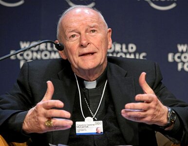 Watykan ujawnił raport o McCarricku. Kluczowy list do Jana Pawła II i...