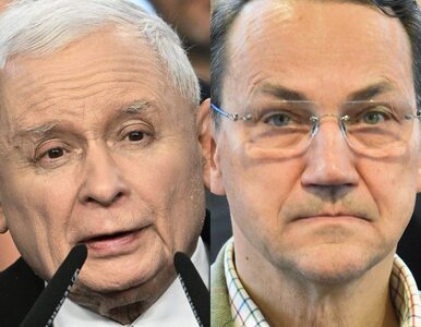 Miniatura: Kaczyński kontra Sikorski. Prezes PiS...