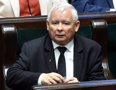 Miniatura: Jarosław Kaczyński z nową funkcją. Prof....