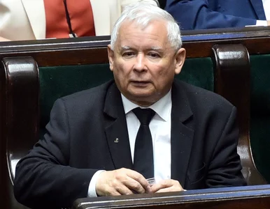 Miniatura: Jarosław Kaczyński z nową funkcją. Prof....