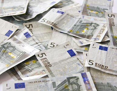Miniatura: UE tworzy mechanizm dla obrony euro