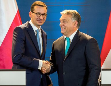 Miniatura: Orban chce z Morawieckim „przeorganizować”...