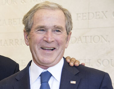 Miniatura: Amerykanie zaczęli lubić Busha