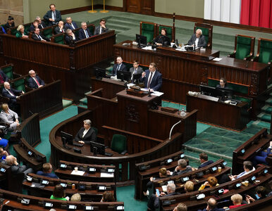 Miniatura: Sejm podjął decyzję ws. przyszłości...