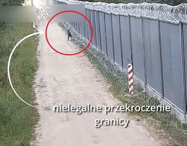 Miniatura: Migrant sforsował zaporę na granicy z...