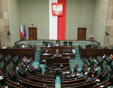Znamy patronów 2023 roku. Sejm wybrał siedmioro zasłużonych Polek i Polaków