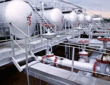 Miniatura: Polska i Rosja porozumiały się w sprawie gazu