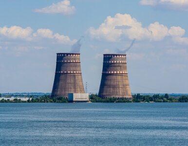 Dwugłos ws. Zaporoskiej Elektrowni Atomowej. Szef Enerhoatomu mówi o...