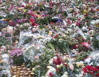Miniatura: Rodziny ofiar Breivika krytykują policję....
