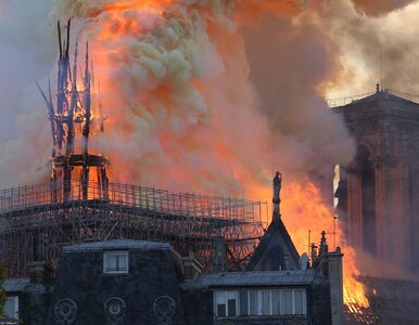 Miniatura: Pożar katedry Notre Dame. Ustalono wstępną...