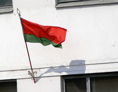 Miniatura: Białoruś oskarża PE o próbę destabilizacji...