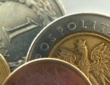 Ekonomiści: płaca minimalna szkodzi polskiej gospodarce