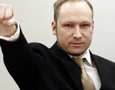 Breivik skarżył się na „nieludzkie traktowanie” i stres. Norweskie...