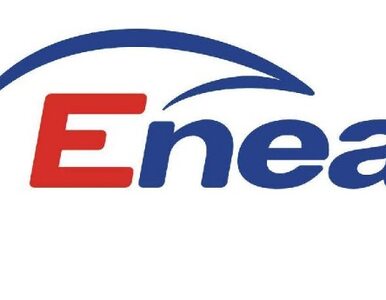 Miniatura: W 2013 r. rząd sprzeda Eneę i Energę