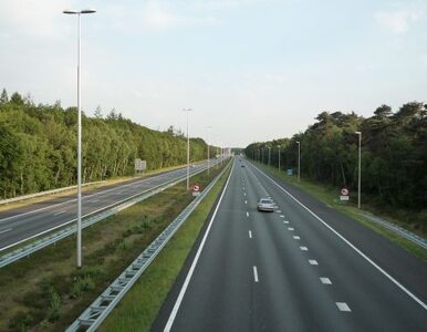 Miniatura: Nowak: budujemy autostrady taniej niż PiS