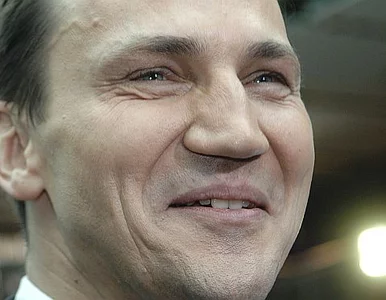 Miniatura: "Sikorski to absolutny patriota PO"