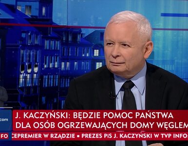 Miniatura: Kaczyński nie zostawił suchej nitki na...