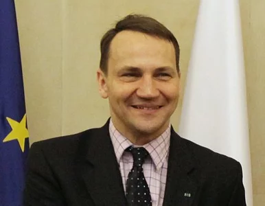 Miniatura: Sikorski: strony MSZ zabezpieczone przed...