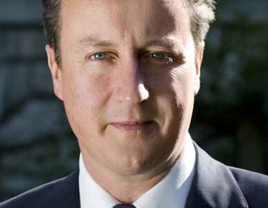 Miniatura: Wielka Brytania: Cameron jest lubiany...