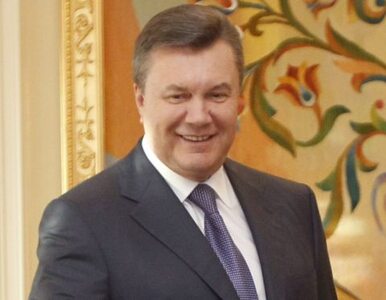 Miniatura: Janukowycz: nie poniżajcie Ukrainy