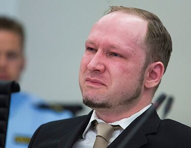 Miniatura: Breivik będzie obrażał rodziny swoich ofiar?