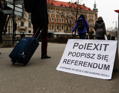 Prof. Chwedoruk: Eurosceptycyzm w Polsce dopiero się pojawi. Jest coś, o...