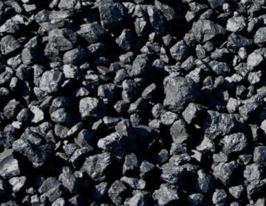 Miniatura: Samorządy zaczynają sprzedawać węgiel